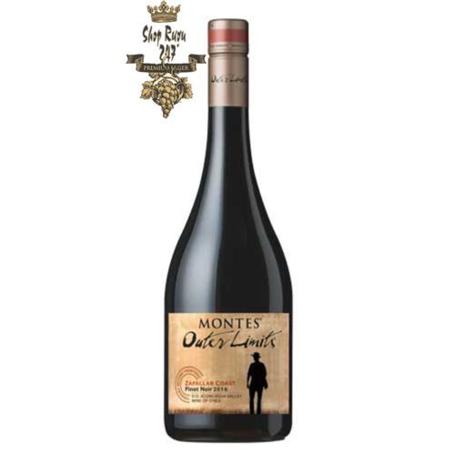 Rượu Vang Đỏ Montes Outer Limits Pinot Noir có mầu đỏ đậm sâu.  Hương thơm của các loại quả đen như anh đào chín, nho đen