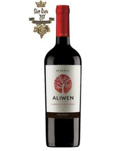 Rượu Vang Đỏ Undurraga Aliwen Cabernet Sauvignon có mầu đỏ hấp dẫn và mãnh liệt. Hương thơm của hoa, quả chín đỏ kết hợp