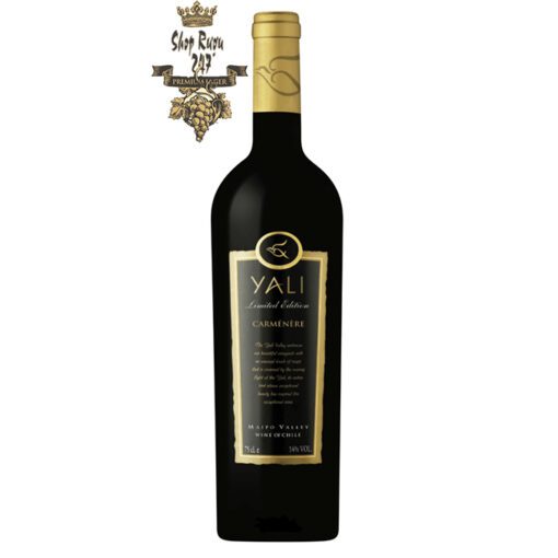 Rượu Vang Đỏ Yali Limited Edition Carmenere có mầu đỏ anh đào mạnh mẽ ánh tím. Hương thơm phức tạp bắt đầu bằng trái cây đen như quả mâm xôi