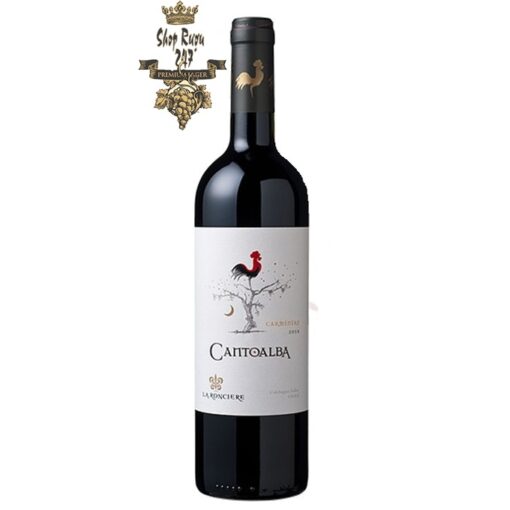 Rượu Vang Chile Đỏ Cantoalba Malbec có mầu đỏ sẫm hấp dẫn và tươi sáng. Hương thơm của hoa và trái cây hoang dã và các loại hạt.