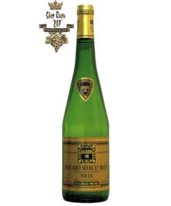 Rượu vang Pháp Guibaud Freres Grand Or Muscadet Sevre Et Maine Sur Lie 2019 mang đến một màu vàng chói tựa pha lê, bung tỏa