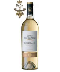 Vang Pháp trắng Louis Eschenauer Bordeaux Moelleux có mầu vàng rơm đẹp mắt. Hương thơm của hoa trắng tinh tế, anh đào và mộc qua