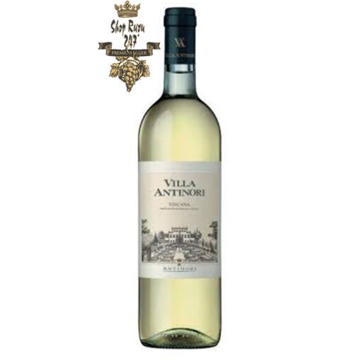 Rượu vang Ý Antinori Villa Antinori Bianco Toscana IGT có màu sắc tươi sáng, có vẻ đơn giản nhưng không kém phần thú vị.