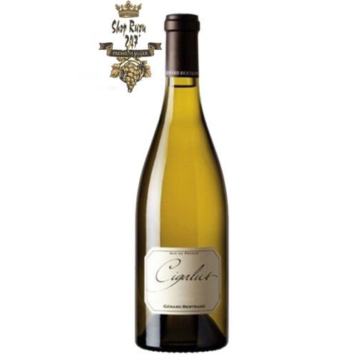 Rượu vang trắng Gerard Bertrand Cigalus Aude Hauterive IGP có mùi thơm đậm đà, đặc sắc của trái nho chín kết hợp cùng các loại trái cây nhiệt đới khác