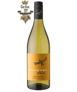 Rượu Vang Trắng Mancura Etnia Chardonnay có mầu vàng rực rỡ. Hương thơm của hoa quả nhiệt đới như đào, dứa cùng hương vị tươi mới
