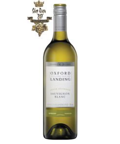 Rượu vang trắng Úc Oxford Landing Sauvignon Blanc là loại vang trắng cao cấp màu vàng mơ tinh tế, quyến rũ cùng với hương vị ngọt ngào