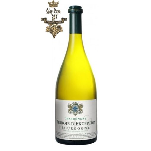 Rượu Vang Đỏ Puligny Montrachet Champ Canet có mầu vàng nhạt sống động tinh tế. Hương thơm mãnh liệt và dai dẳng của trái cây với hương vị