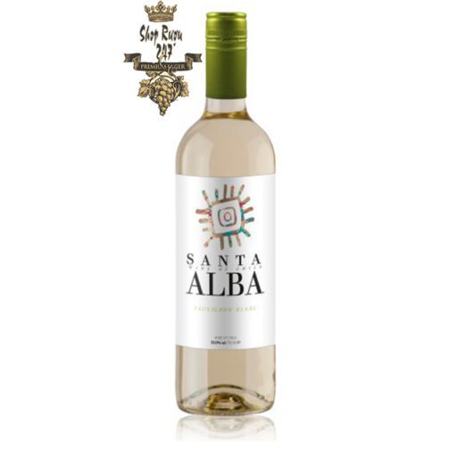 Rượu Vang Trắng Santa Alba Sauvignon Blanc có mầu vàng nhạt ánh xanh. Hương thơm nổi bật của cam quýt và táo xanh với một chút gợi ý