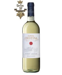 Rượu vang Ý trắng Santa Cristina Pinot Grigio Delle Venezie IGT với Hương táo xanh, cây thân thảo, bưởi, táo, dưa, dứa cùng với bơ, tiêu