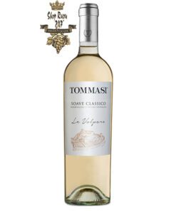 Rượu vang Ý Tommasi Le Volpare Soave Classico DOCG chứa màu vàng rơm tưới tắn làm nên dấu ấn của nhiều trái cây dày đặc