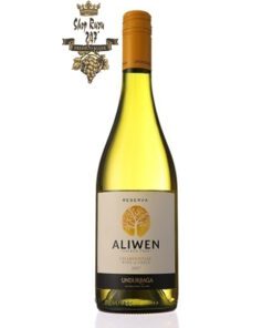 Rượu Vang Trắng Undurraga Aliwen Chardonnay có mầu vàng hấp dẫn. Hương vị của rượu vang mềm và thanh lịch cùng hương thơm tươi sáng