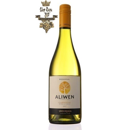 Rượu Vang Trắng Undurraga Aliwen Chardonnay có mầu vàng hấp dẫn. Hương vị của rượu vang mềm và thanh lịch cùng hương thơm tươi sáng