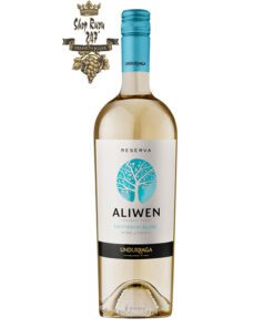 Rượu Vang Trắng Undurraga Aliwen Sauvignon Blanc có mầu vàng nhạt với tong mầu xanh lục. Hương thơm mạnh mẽ của trái cây như cam quýt