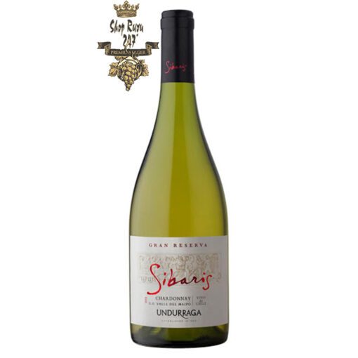 Rượu Vang Trắng Undurraga Sibaris Chardonnay này được làm từ 100%  giống nho Chardonnay được trồng tại vườn nho Leyda Valley