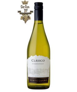 Rượu Vang Trắng Ventisquero Clasico Chardonnay có mầu vàng rơm đẹp mắt. Hương thơm của các loại hoa quả miền nhiệt đới như dứa, lê, táo