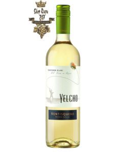 Ventisquero Yelcho Sauvignon Blanc có mầu xanh nhạt. Hương thơm pha trộn của cam quýt và trái cây nhiệt đới như chanh, bưởi, dứa, lê