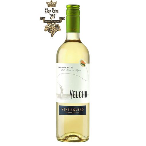 Ventisquero Yelcho Sauvignon Blanc có mầu xanh nhạt. Hương thơm pha trộn của cam quýt và trái cây nhiệt đới như chanh, bưởi, dứa, lê