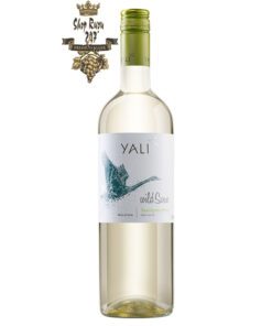 Rượu Vang Trắng Yali Wild Swan Sauvignon Blanc có mầu vàng rơm ánh xanh. Hương thơm các loại trái cây nhiệt đới và cam quýt hòa quyện