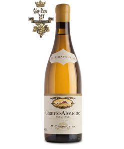 Rượu vang Pháp M.Chapoutier Chante Alouette Hermitage White Với hương vị ngọt ngào của trái cây chín và mật ong, hương thơm tinh tế của các loại hạt