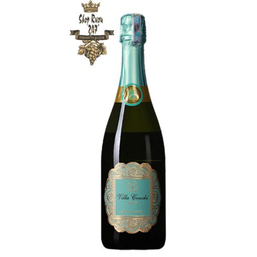 Rượu vang Villa Conchi Cava Brut Seleccion mang đến một lượng trái cây và sắc thái ấn tượng của đồ nướng. Để lại trong miệng của người thưởng thức một dấu ấn tinh tế