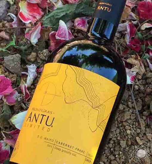 Shopruou247_hinh_anh_Ruou vang do Chile MontGras Antu Limited Cabernet Franc 2