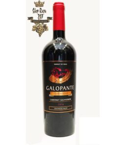 Rượu Vang Đỏ GALOPANTE Gran Reserva Cabernet sauvignon có màu đỏ ruby đậm đẹp mắt. Hương thơm trái cây