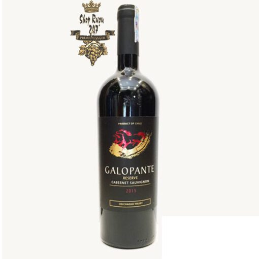 Rượu Vang Đỏ GALOPANTE Reserva Cabernet sauvignon có màu đỏ ruby đậm đẹp mắt. Hương thơm trái cây chín mọng