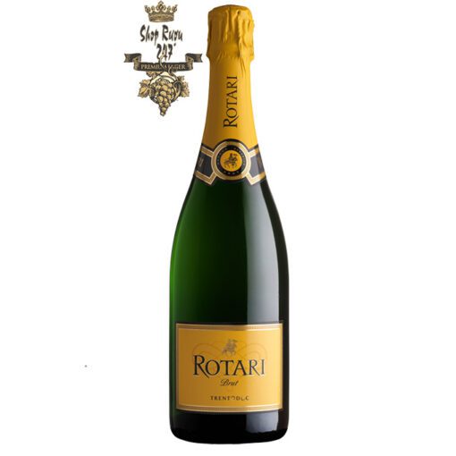 Vang Ý Rotari Brut Chardonnay có màu vàng rơm hơi ánh xanh nhã nhặn, tinh tế. Là sự kết hợp phong phú của các