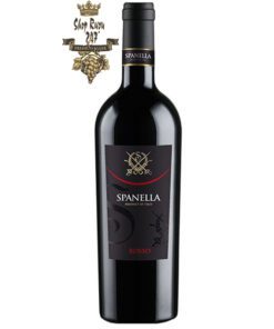 Rượu Vang Ý Đỏ Spanella Vino Rosso có màu đỏ ruby tươi ấn tượng với một chút ánh đen. Hương thơm của rượu