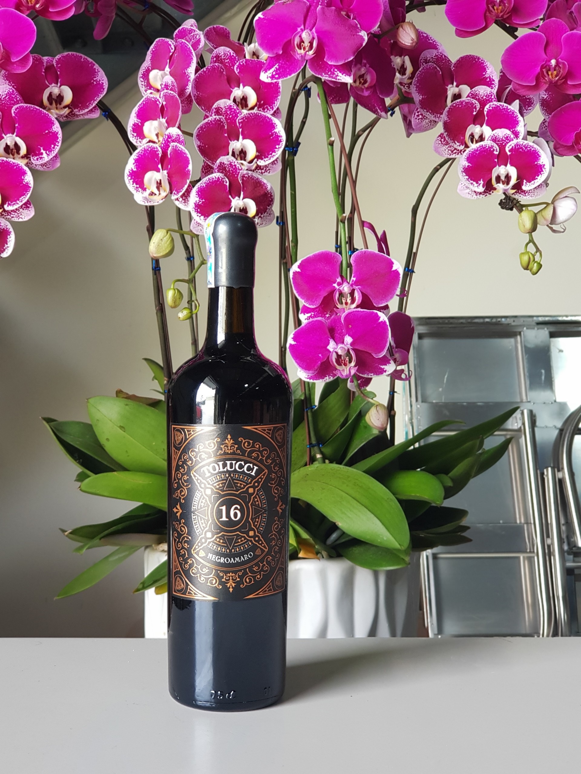 Rượu Vang Ý Đỏ Tolucci 16% ảnh chụp thực tế cùng hoa phong lan