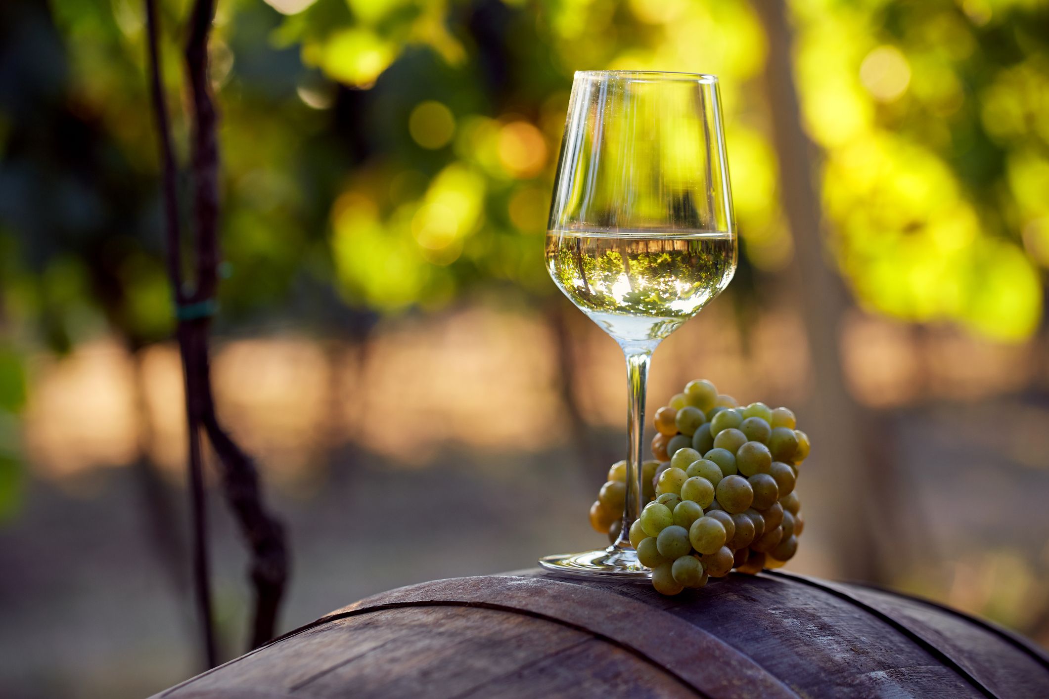 Mặc dù thường kết hợp với nhau, rượu vang tự nhiên không phải lúc nào cũng hữu cơ. Một loại rượu vang