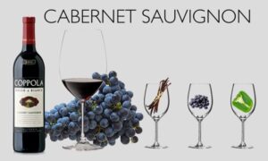 Cabernet là một loại rượu vang đỏ toàn thân, có độ chua vừa phải và có khả năng lão hóa rất tốt