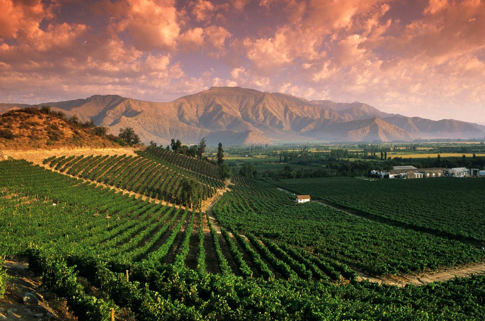 Đất nước Chile nổi tiếng với lịch sử lâu đời với nền văn minh rượu vang ở Thế giới mới. Điều kiện thời tiết cũng như khí hậu mà mẹ thiên nhiên