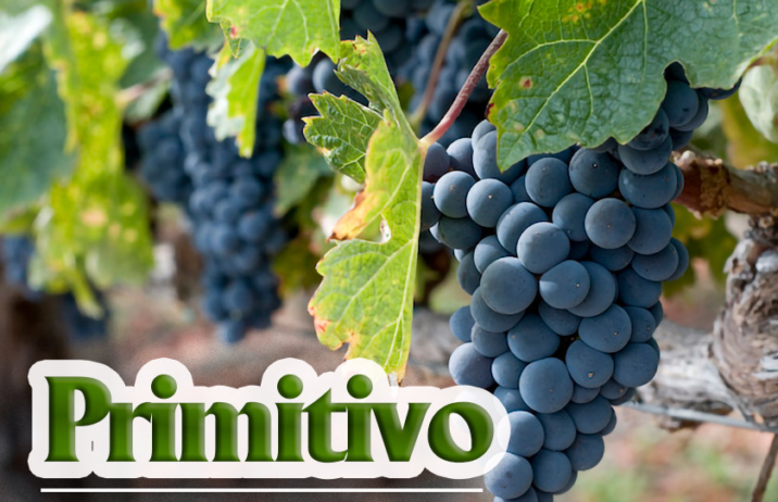 Primitivo, tên tiếng Ý của Zinfandel, đã từ bỏ quá khứ là một loại nho pha trộn ít được biết đến trong các loại rượu rẻ tiền, và giờ đây nó đang được sản xuất thành