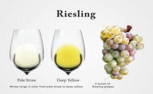 Riesling là một giống nho rượu vang trắng thơm, tạo ra một loại rượu vang trắng với hương hoa và hương vị trái cây