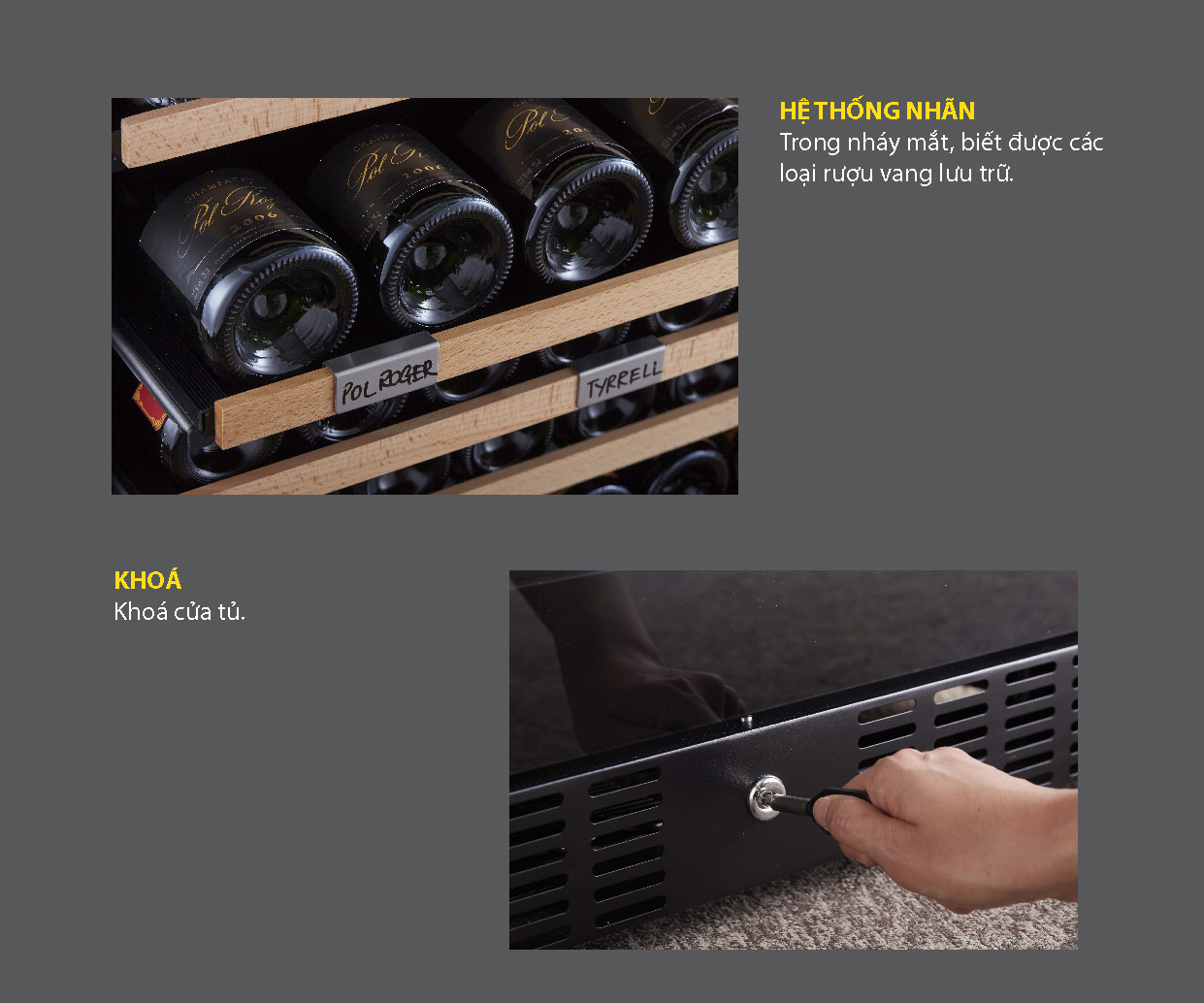 Thương hiệu KADEKA cung cấp dòng sản phẩm tủ ướp vang rộng nhất trên thị trường, trữ lượng lưu giữ từ 15 chai