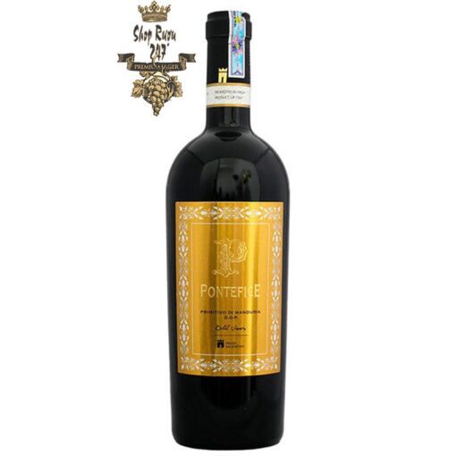 Rượu Vang Đỏ Feudi Salentini Levante Primitivo