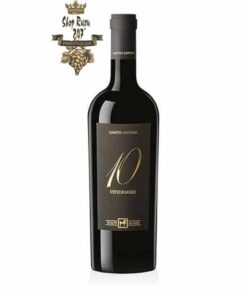 Rượu Vang Đỏ Tenuta Ulisses 10 Vendemmie Montepulciano - Primitivo
