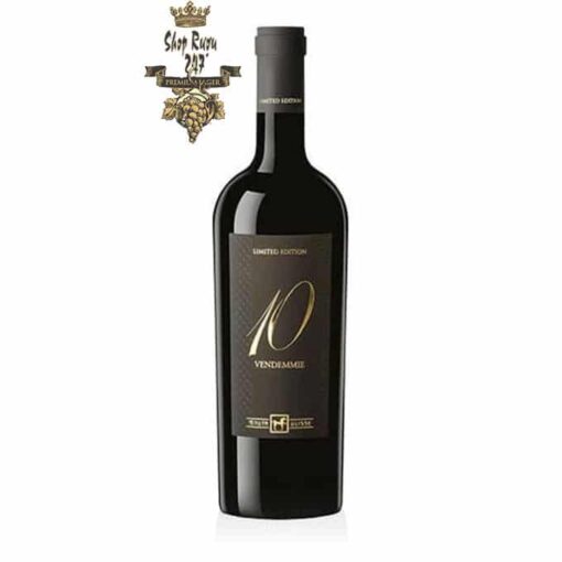 Rượu Vang Đỏ Tenuta Ulisses 10 Vendemmie Montepulciano - Primitivo