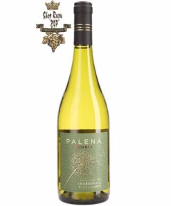 Rượu Vang Trắng Chile Palena Reserva Chardonnay