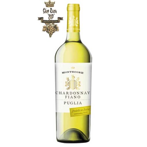 Rượu Vang Trắng Montecore Chardonnay-Fiano