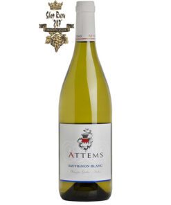 Rượu Vang Attems Sauvignon Blanc có màu vàng vàng lấp lánh với những điểm nổi bật của màu xanh lá cây tinh tế. Ấn tượng đầu tiên về hương thơm