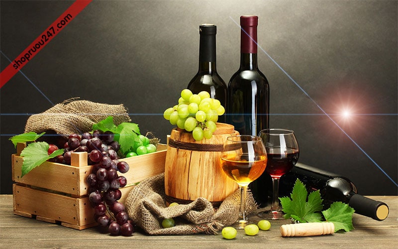 Rượu San Marzano - thức uống khó cưỡng cho phái mạnh