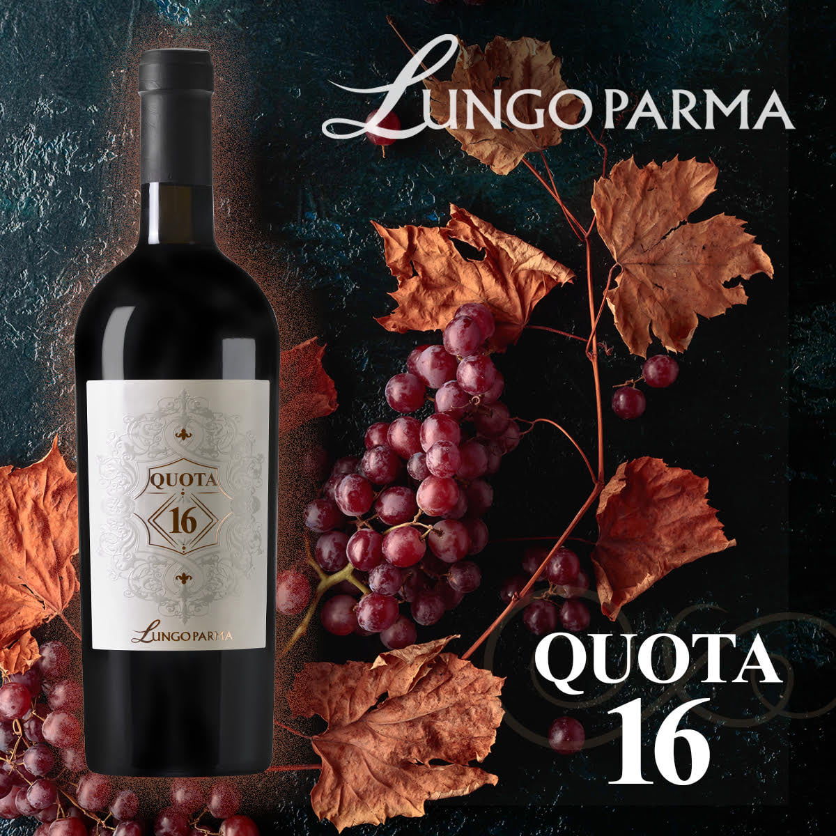 Rượu Vang Quota 16 Vino Rosso Fermo Lungoparma với loại nho được thu hoạch vào tháng mười một và đây là giai đoạn cuối vụ