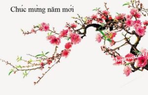 Lời chúc Tết cô chú nhân dịp đầu năm mới