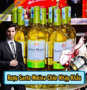 Rượu Santo Molina Chile Nhập Khẩu