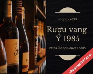 Rượu vang Ý 1985 - Thức hương vị nồng nàn quyến rũ