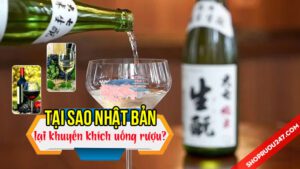 Tại sao Nhật Bản lại khuyến khích uống rượu?