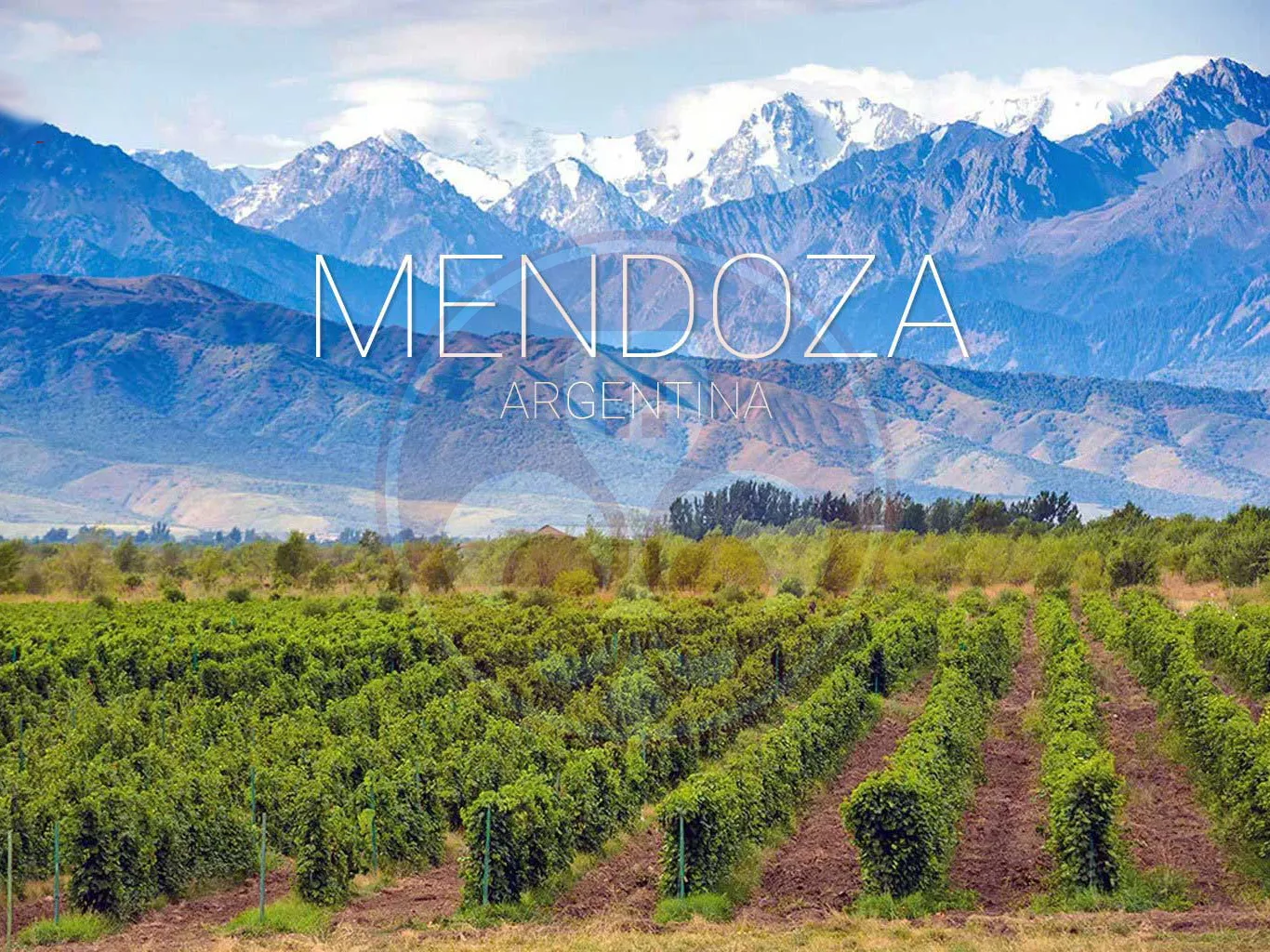 Mendoza - Ngôi nhà của Rượu Vang Argentina