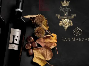Khám phá tinh hoa Ý trong ly rượu vang F NEGROAMARO